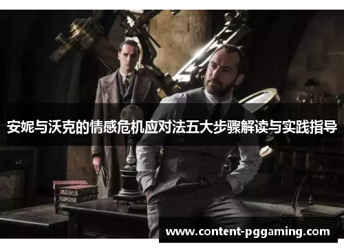 安妮与沃克的情感危机应对法五大步骤解读与实践指导