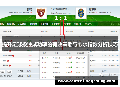提升足球投注成功率的有效策略与心水指数分析技巧