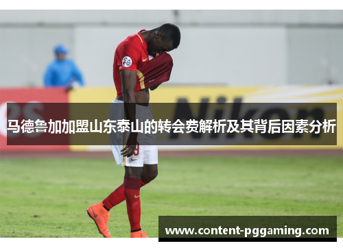 马德鲁加加盟山东泰山的转会费解析及其背后因素分析