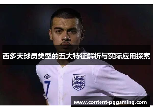 西多夫球员类型的五大特征解析与实际应用探索