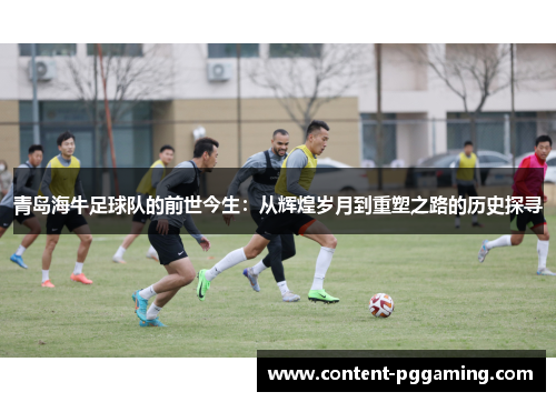 青岛海牛足球队的前世今生：从辉煌岁月到重塑之路的历史探寻