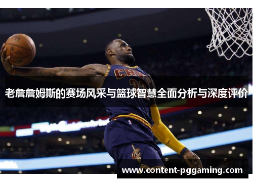 老詹詹姆斯的赛场风采与篮球智慧全面分析与深度评价