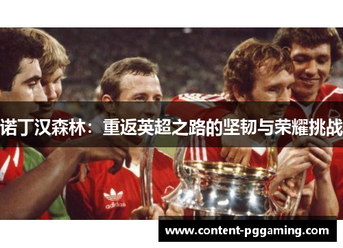 诺丁汉森林：重返英超之路的坚韧与荣耀挑战