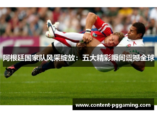 阿根廷国家队风采绽放：五大精彩瞬间震撼全球